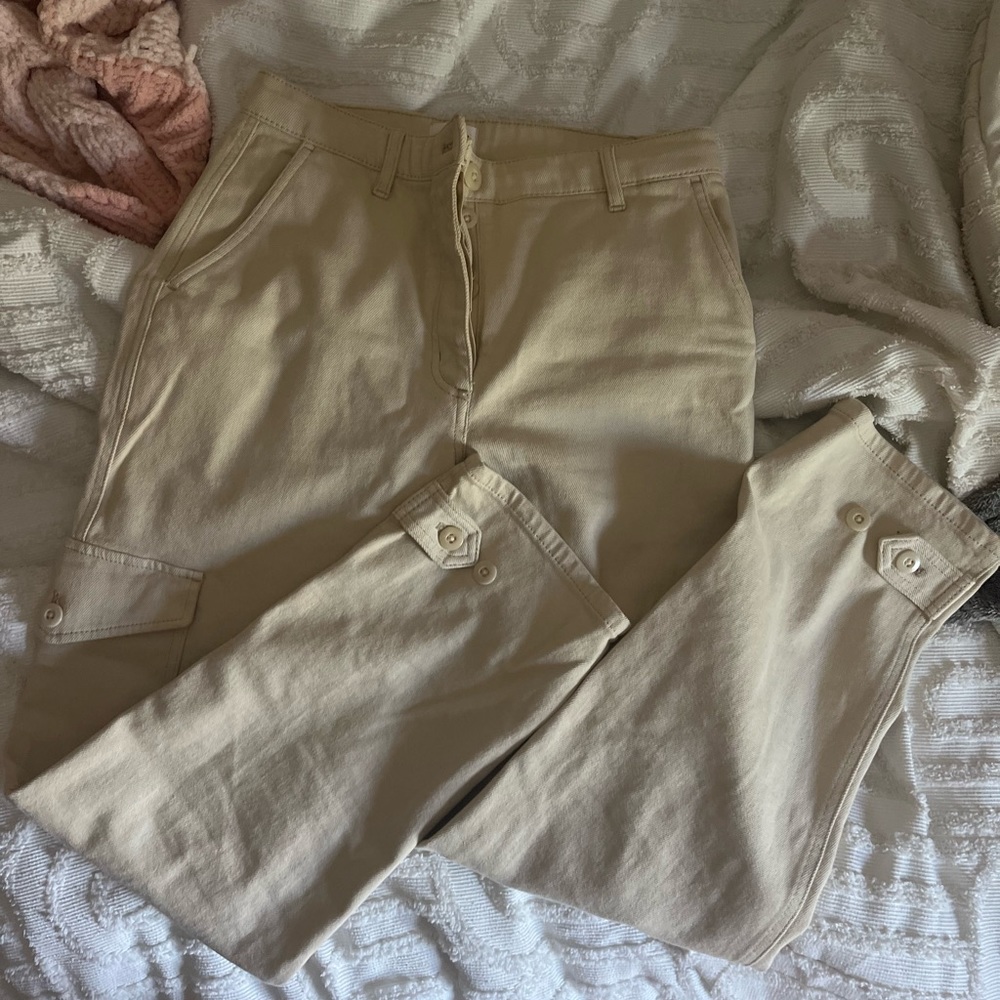 Aritzia wilfred free cargo pants